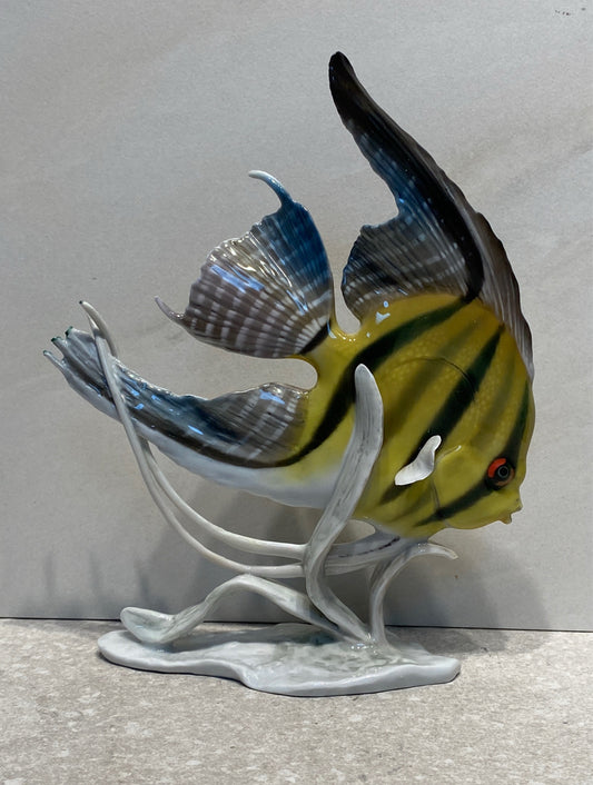 Rosenthal Fish