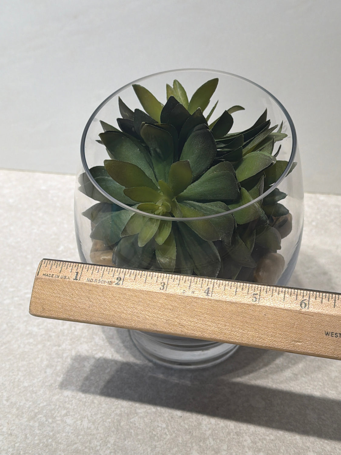 Pottery Barn Succulent