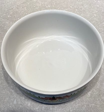 Villeroy and Boch Bowl