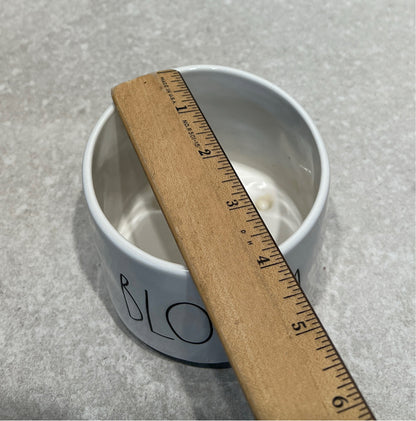Rae Dunn Planter
