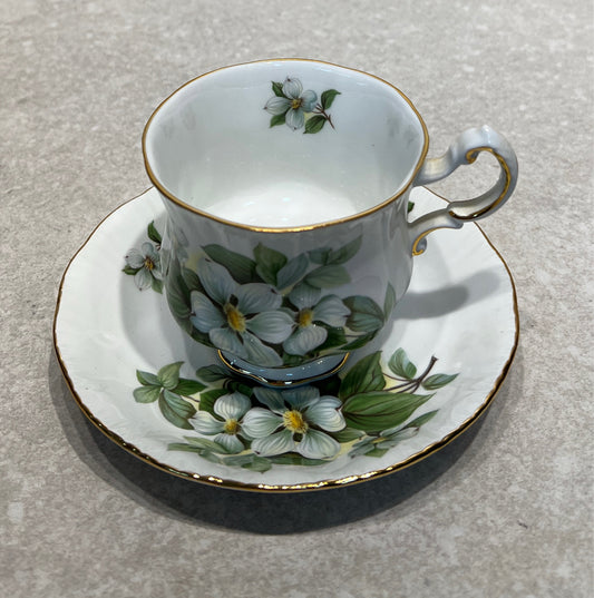 Cup And Saucer