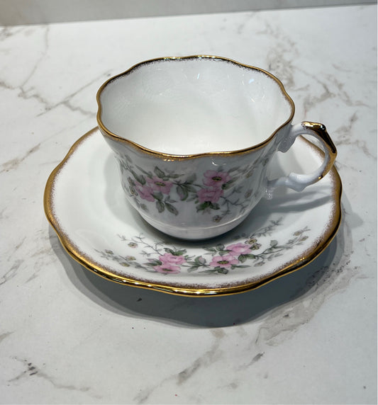 Cup And Saucer