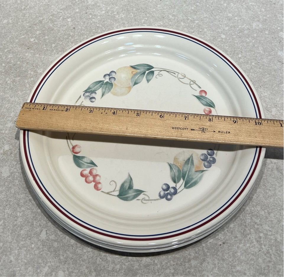 Set of 4 Corelle Dinner Plates