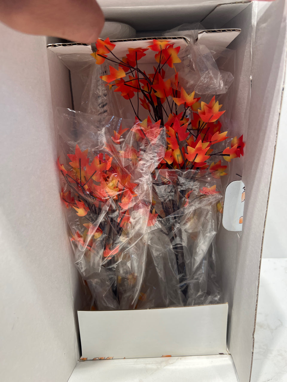 Dept. 56 Autumn Maple And Birch Trees