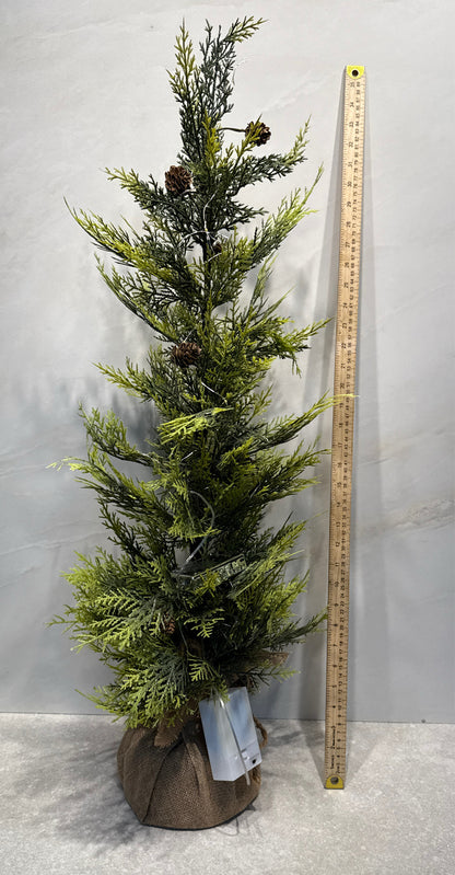 Lighted Tree