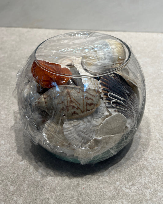 Shells in Bowl