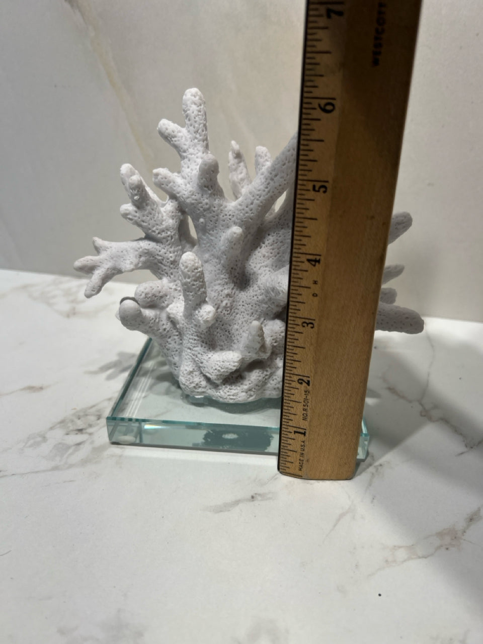 Coral Decor