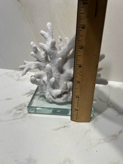 Coral Decor