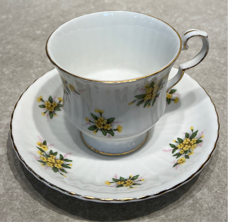 Cup and Saucer