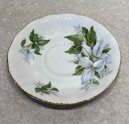 Paragon Cup and Saucer