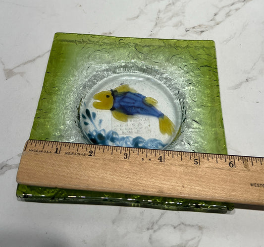 Fish Plate