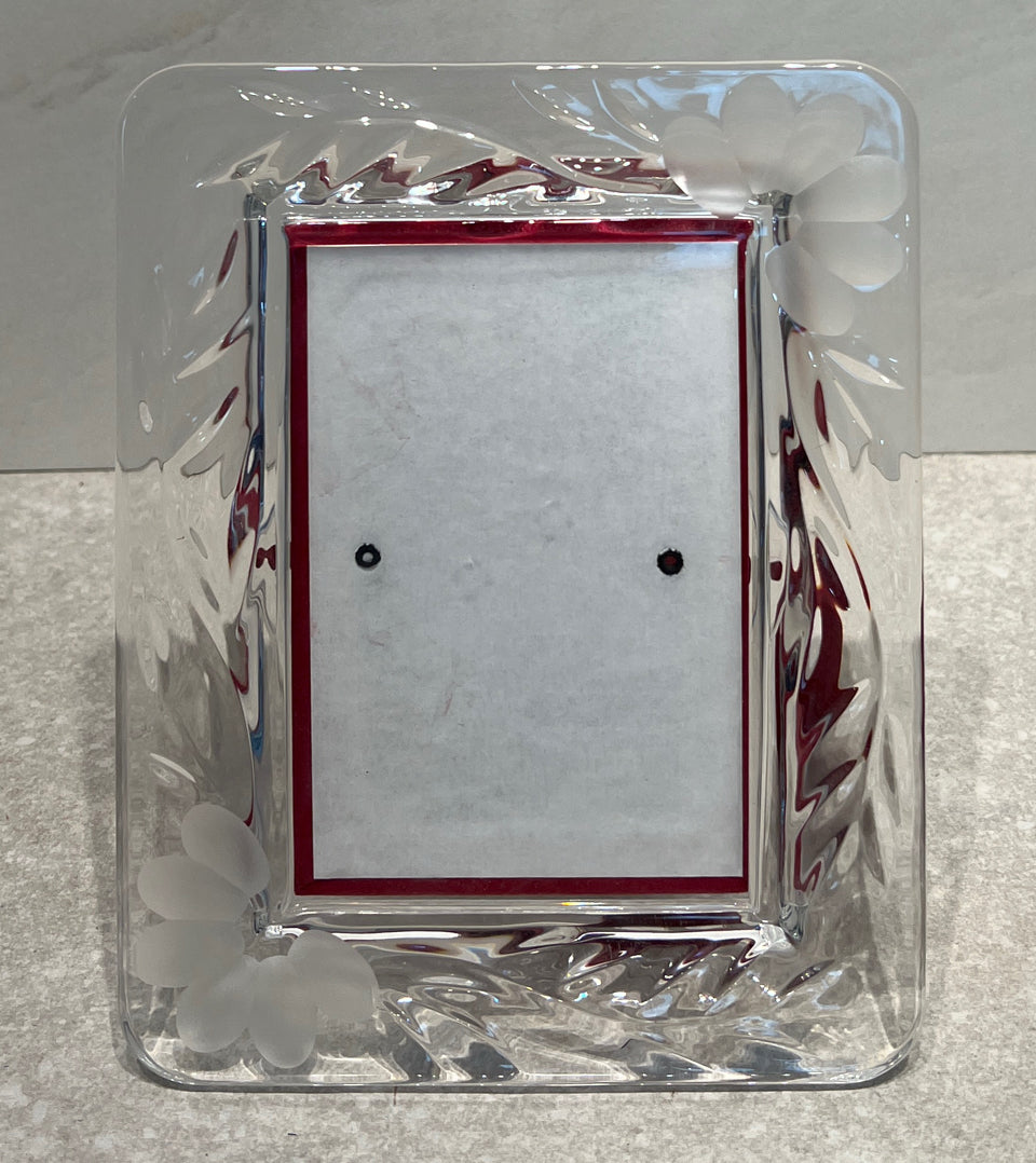 Princess House Frame