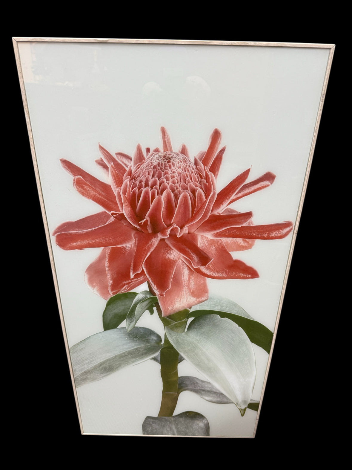 Wall Decor 33" x 16"