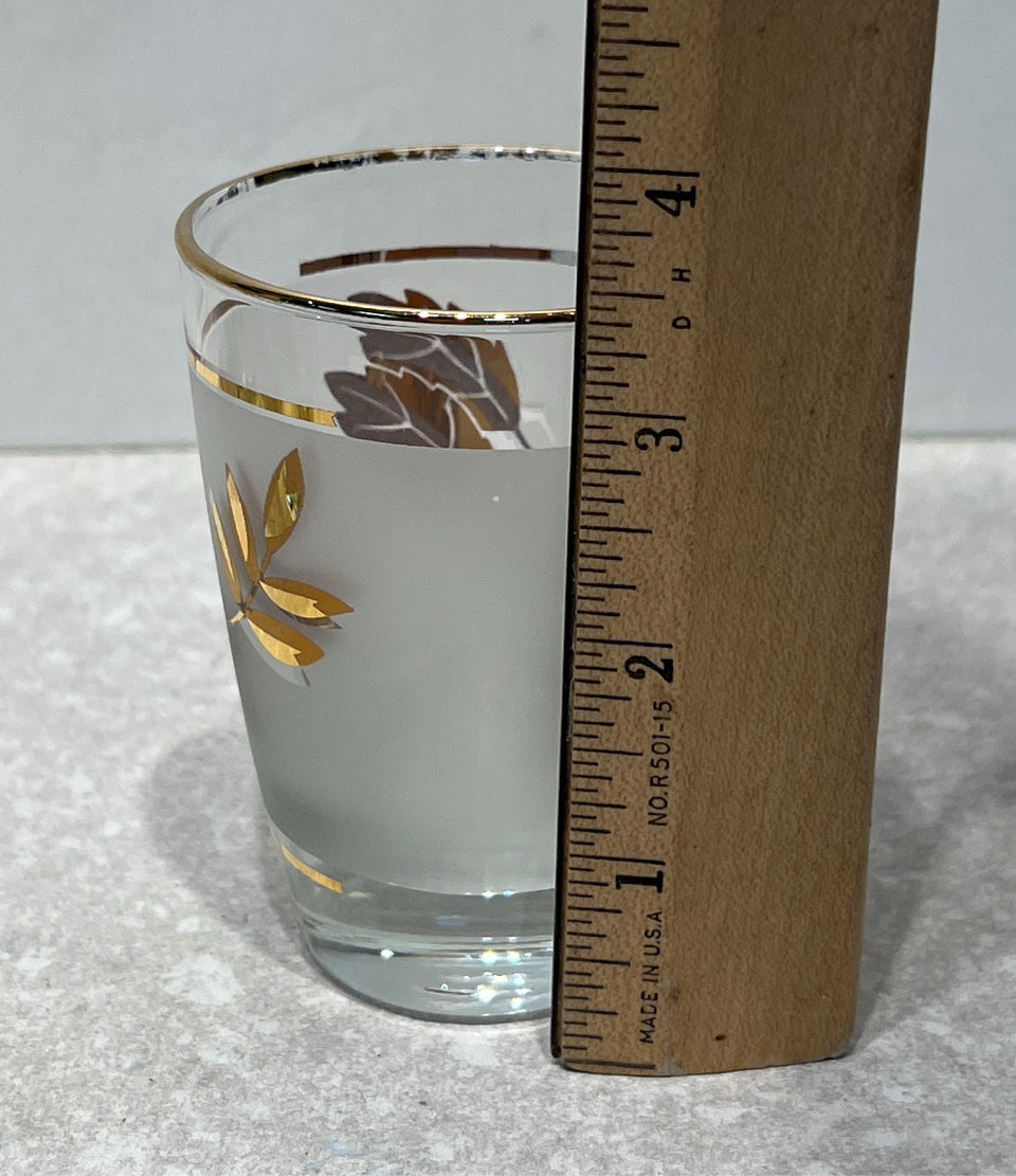 Set of 5 Glasses