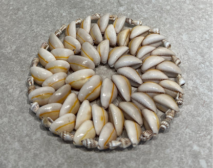 Shell Decor