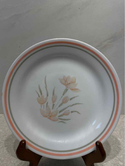 Set of 11 Corelle Plates