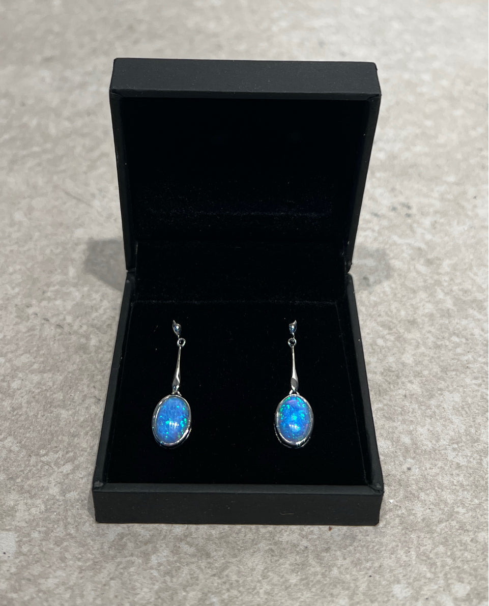 Pul Wright Sterling Earrings