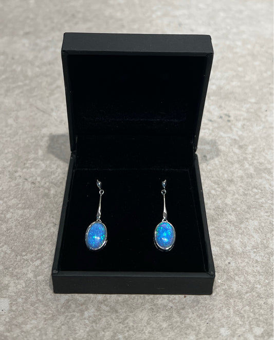 Pul Wright Sterling Earrings