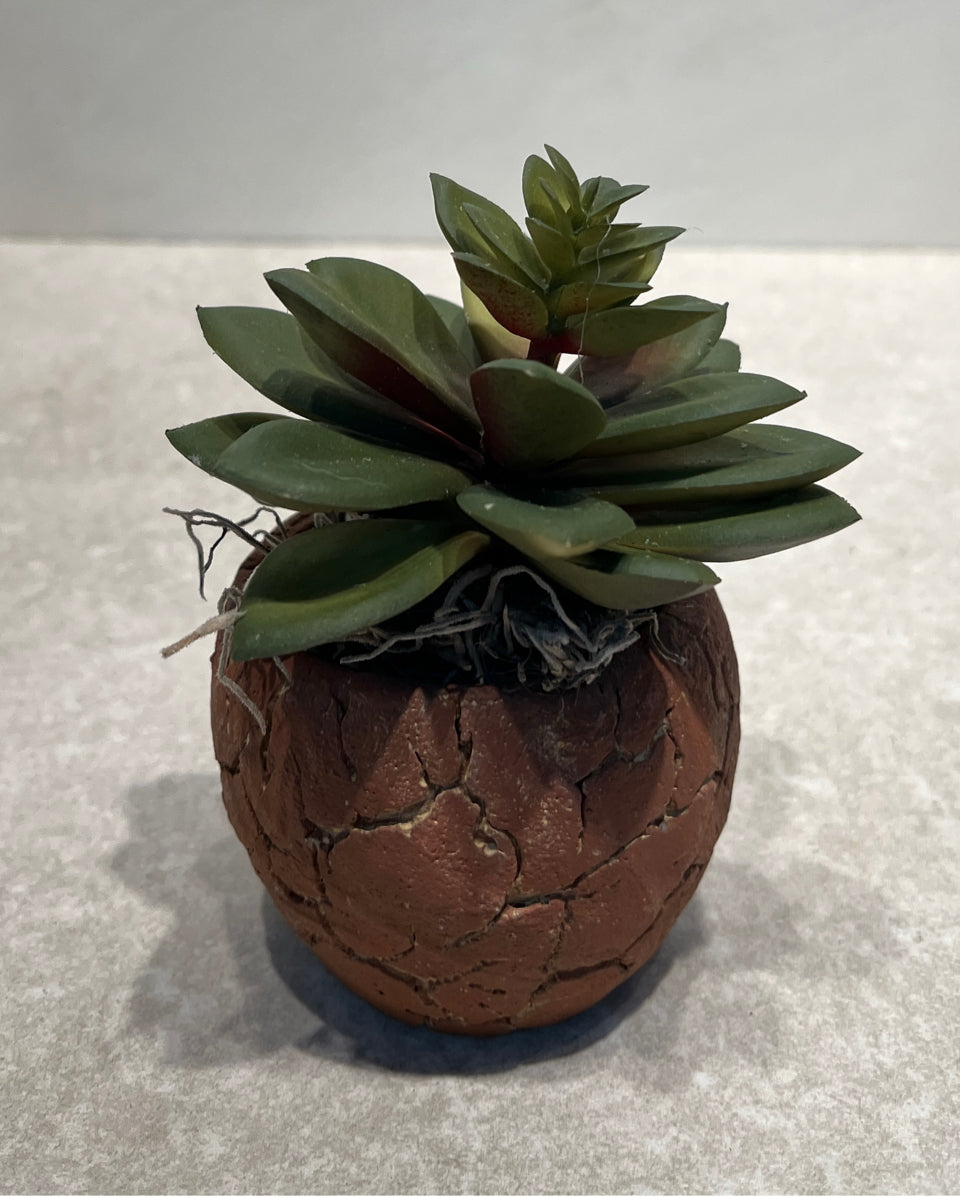 Artifical Decor
