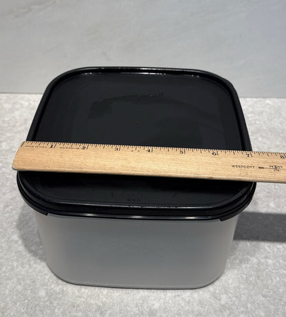 Tupperware Covered Container