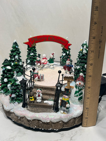 Lighted Skating Park