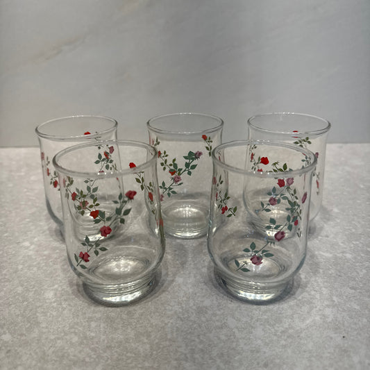 Set of 5 Juice Glasses