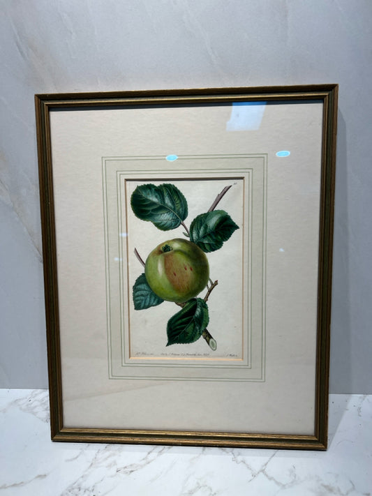 Wall Decor