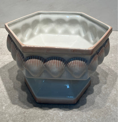 Shell Planter