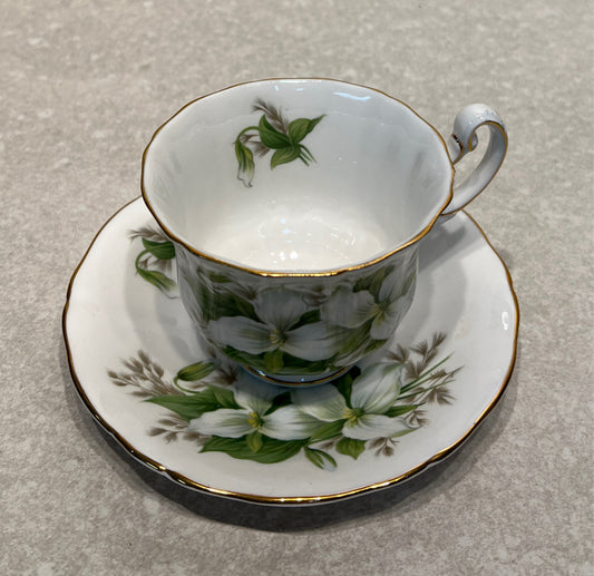 Cup and Saucer