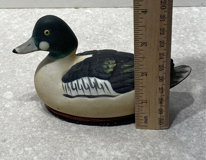 Duck