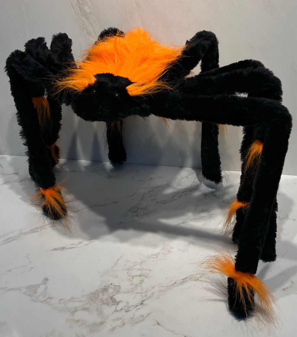 Spider