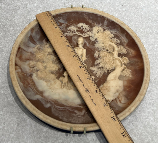 Collectable Plate