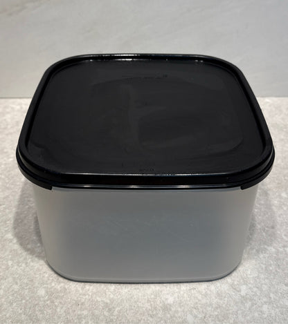 Tupperware Covered Container