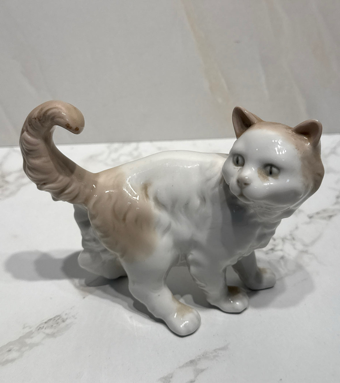 Nao Cat