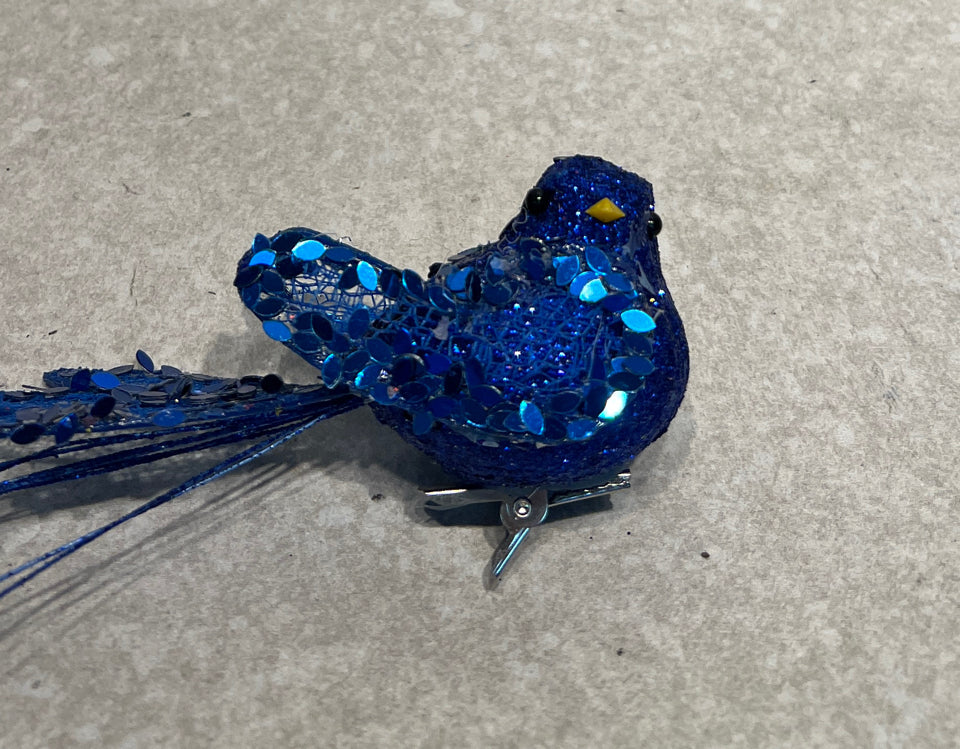 Bird Clip