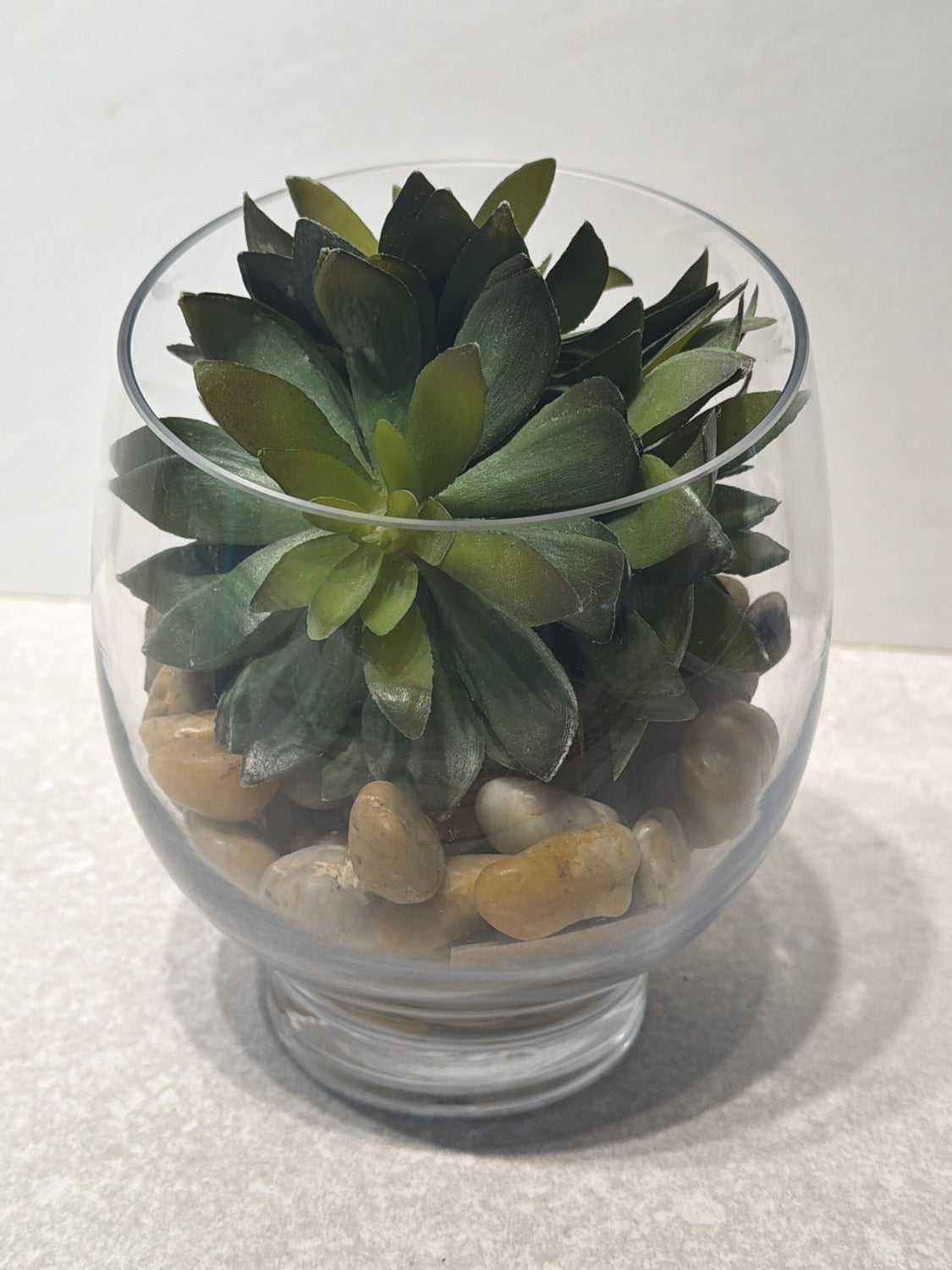 Pottery Barn Succulent