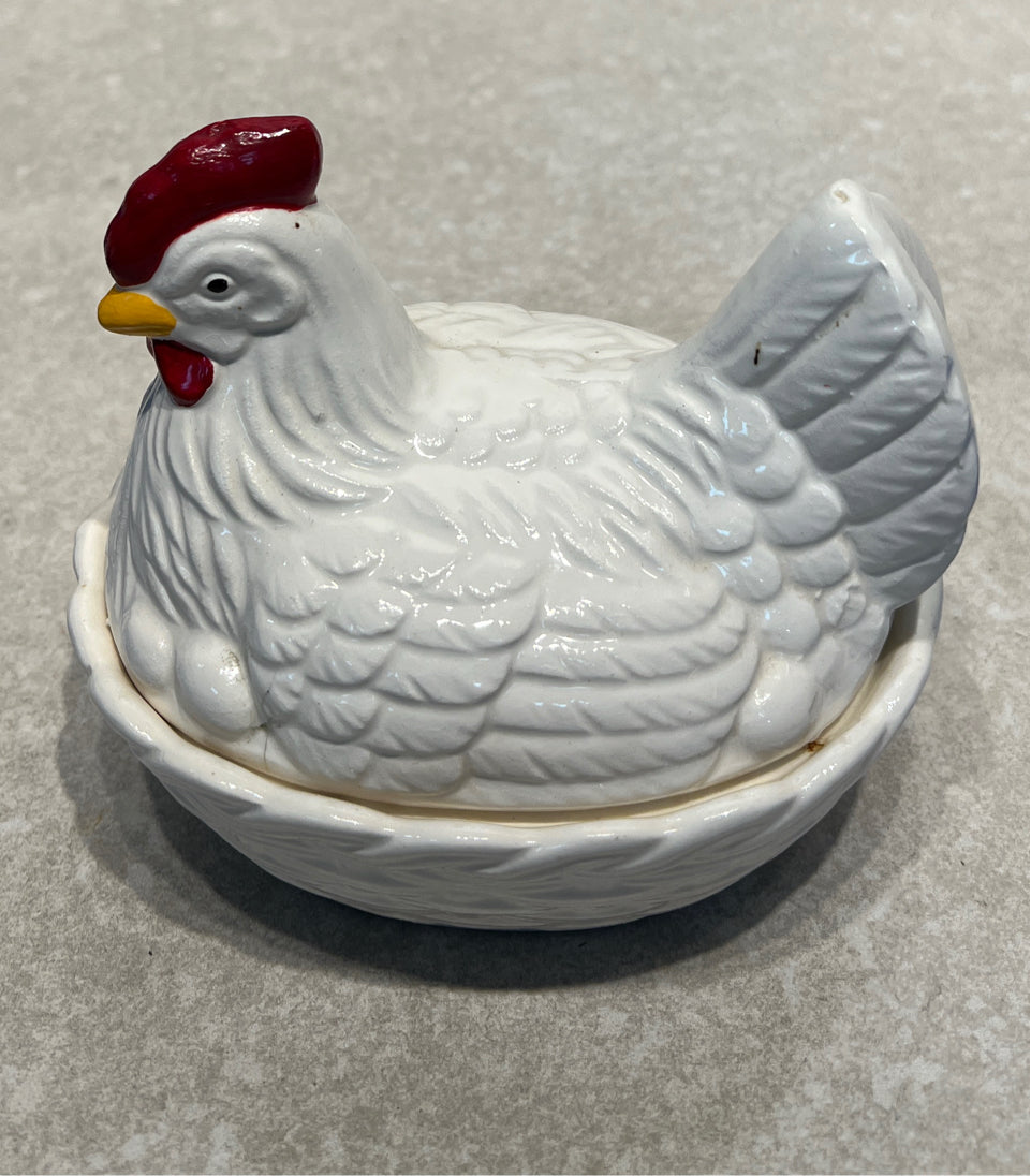 Hen on Nest