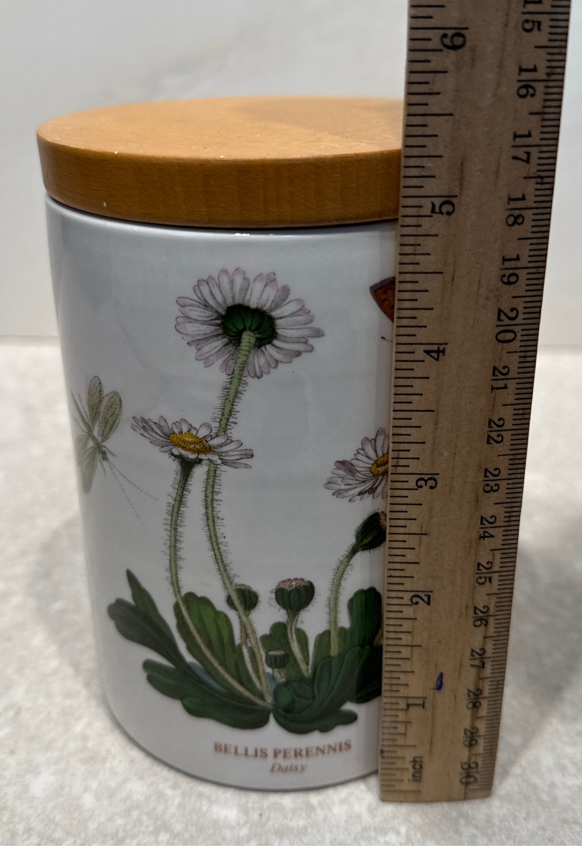 Portmeirion Canister