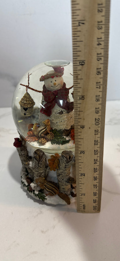 Snowglobe