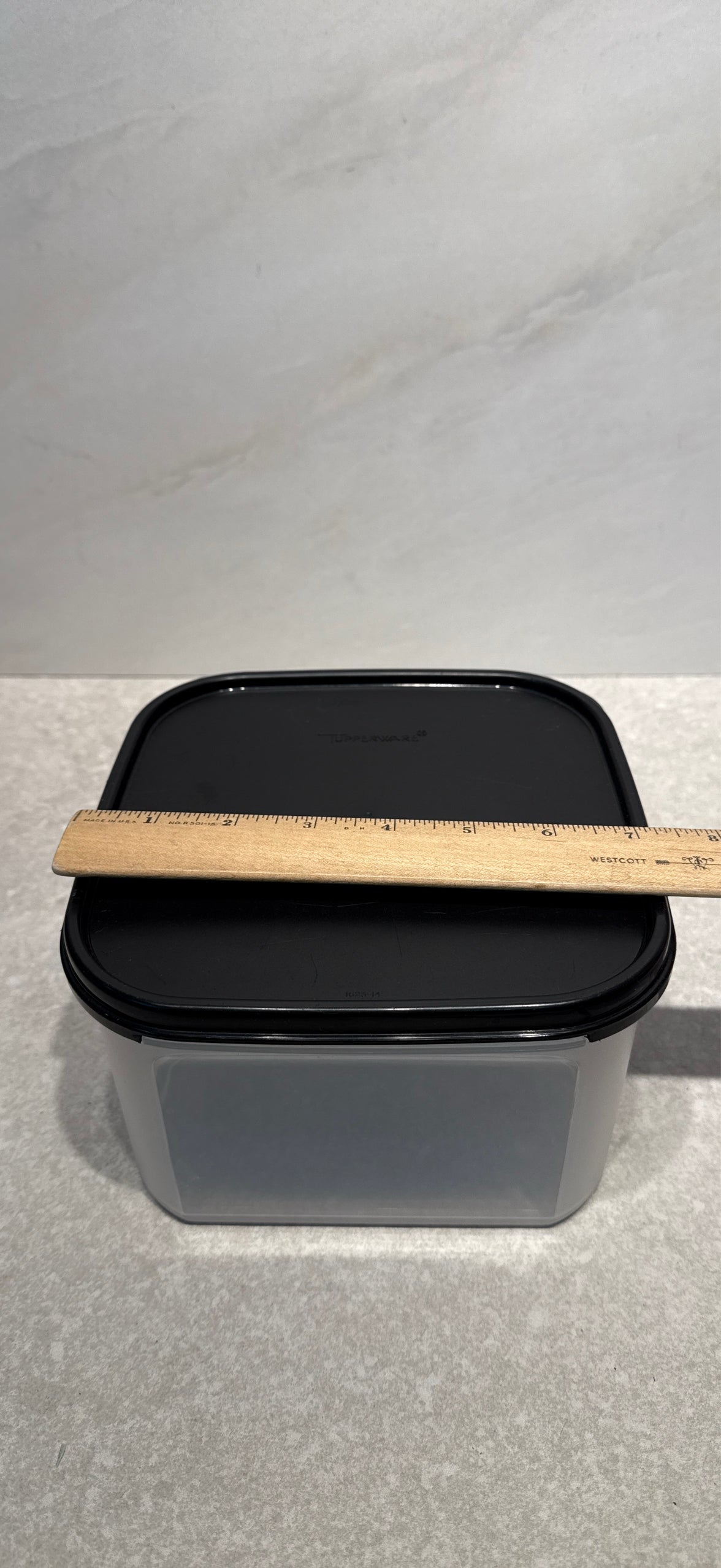 Tupperware Covered Container