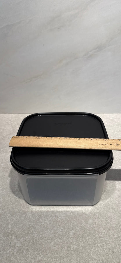 Tupperware Covered Container