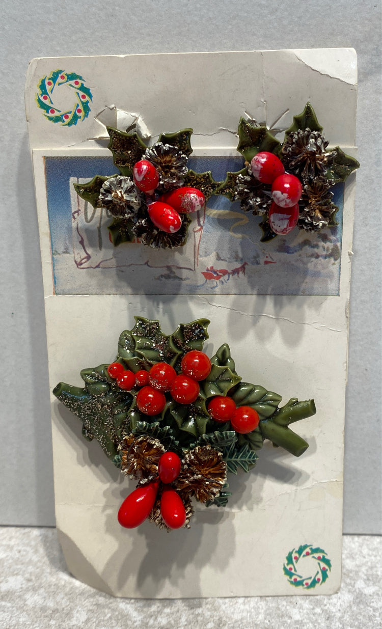Pin and Earrings
