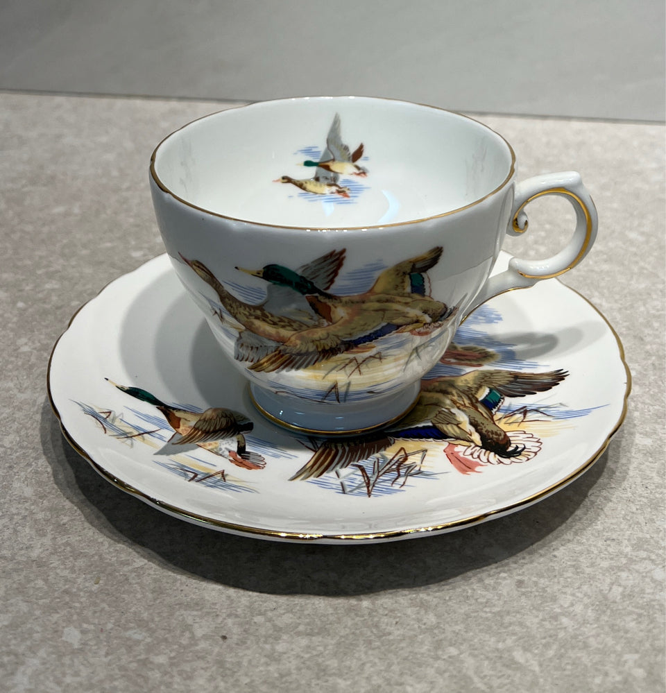 Cup And Saucer