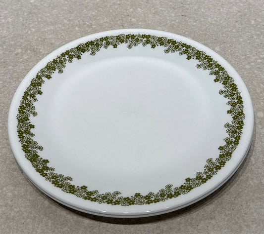 Set of 2 Corelle Plates