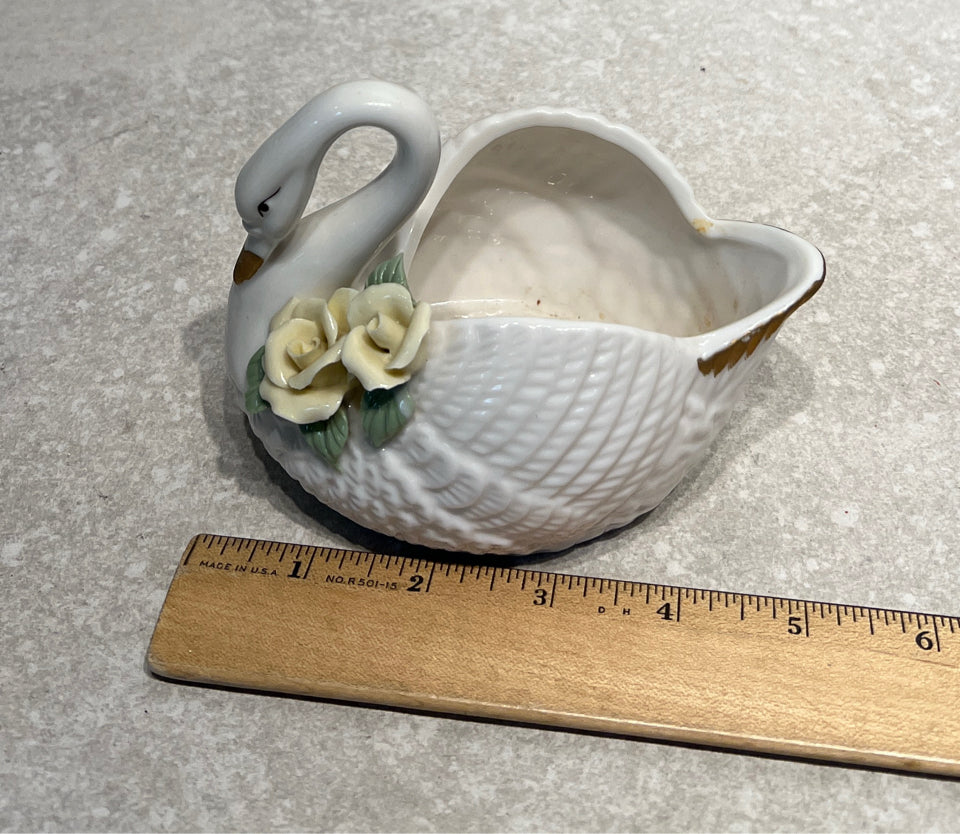 Swan