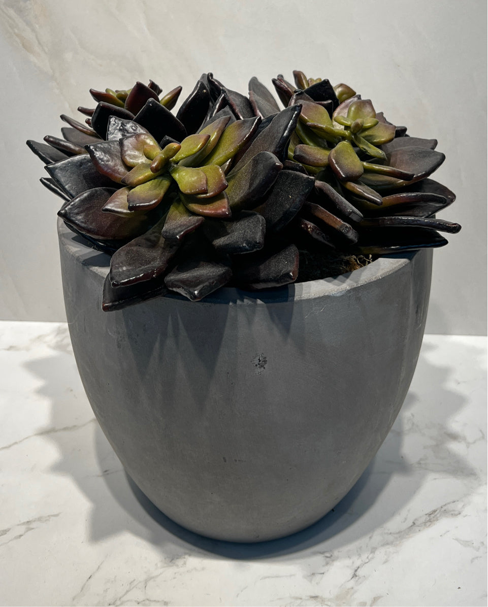 Artifical Decor