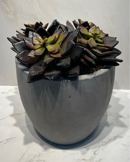 Artifical Decor
