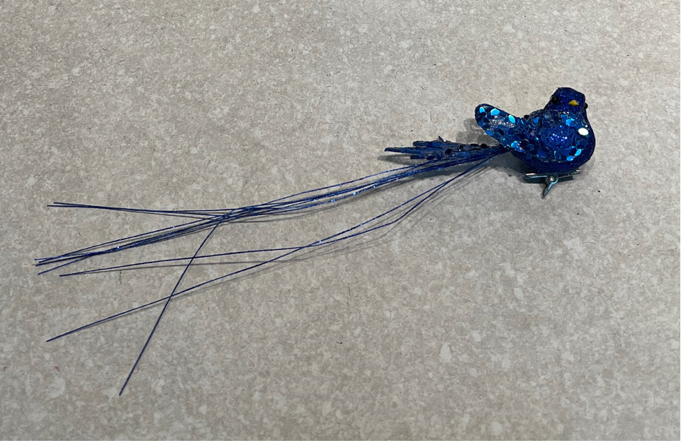 Bird Clip