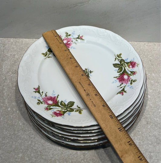 Set of 8 Poland Dinner Plates