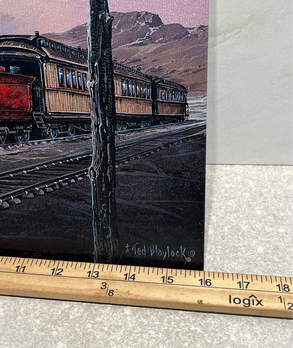 Train Tin Sign